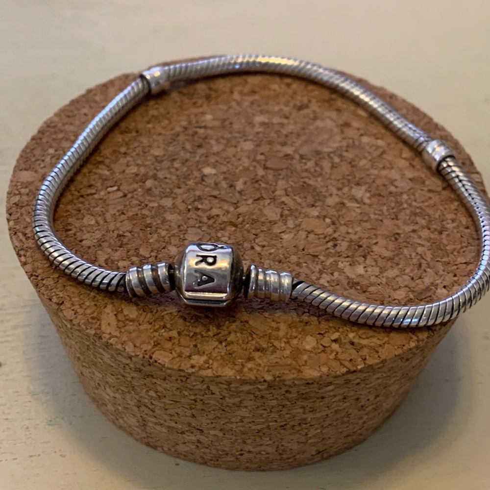 Pandora iconic silver charm bracelet
